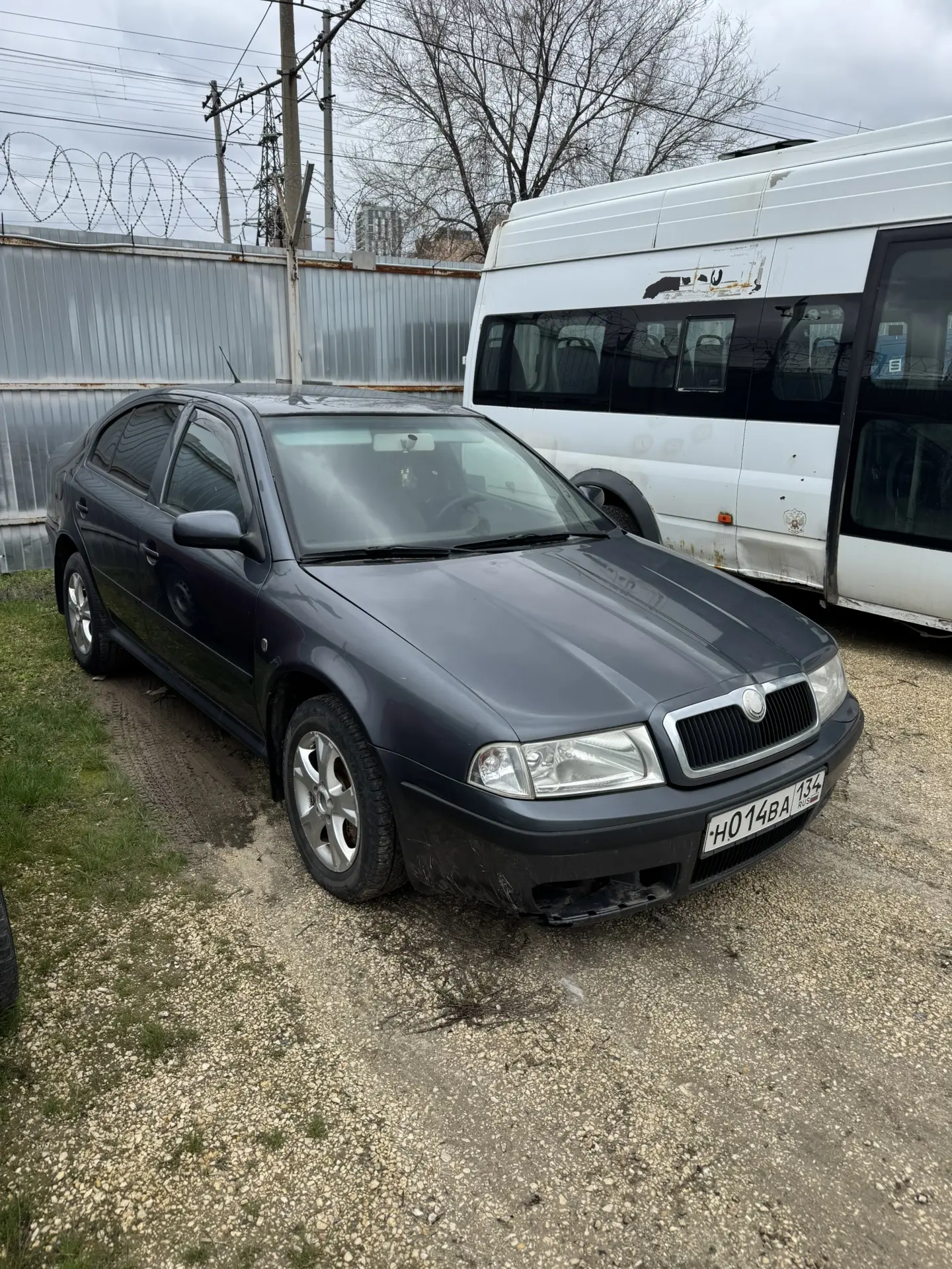 Skoda Octavia 2009 год