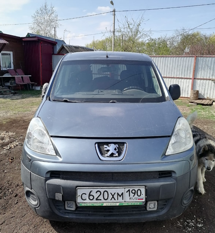 Peugeot Partner Tepee 2010 год