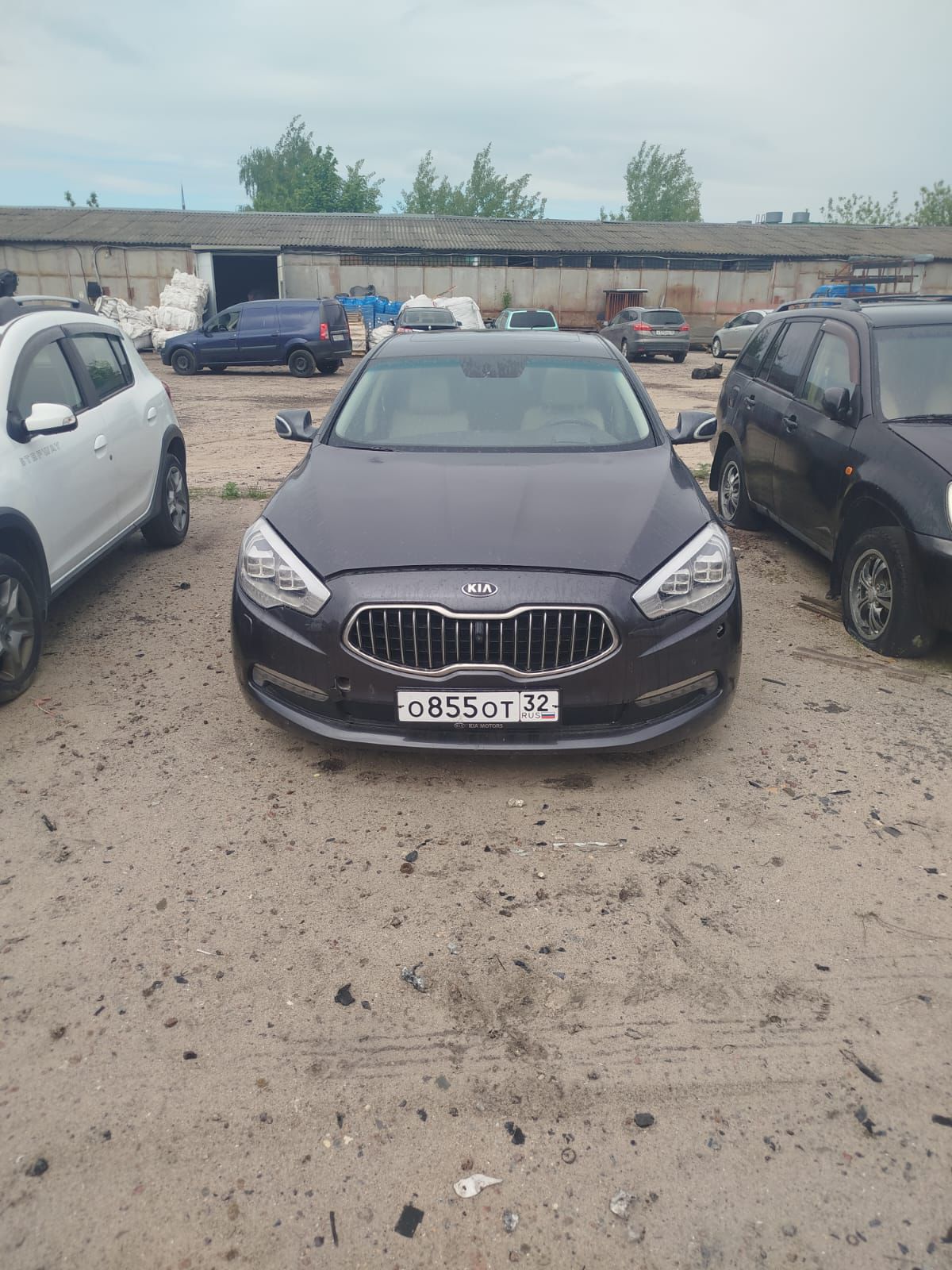 Kia Quoris 2013 год