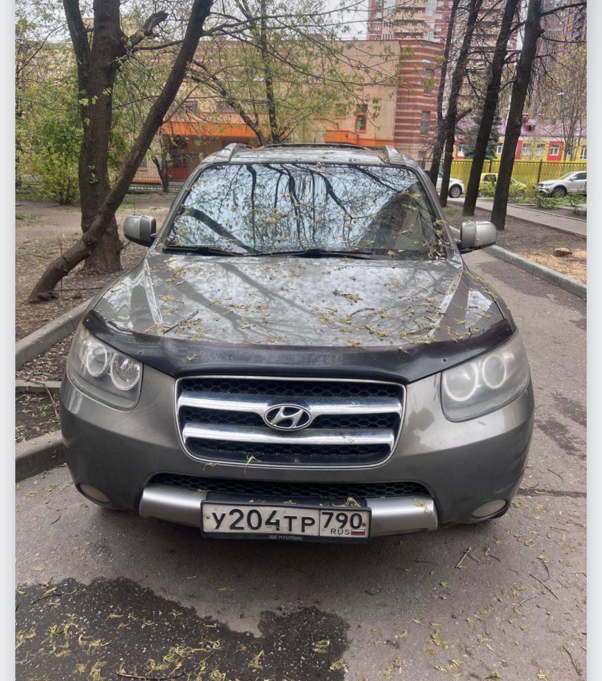 Hyundai Santa Fe 2006 год