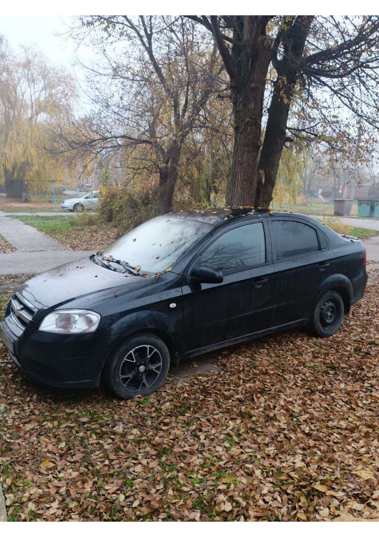 Chevrolet AVEO 2009 год