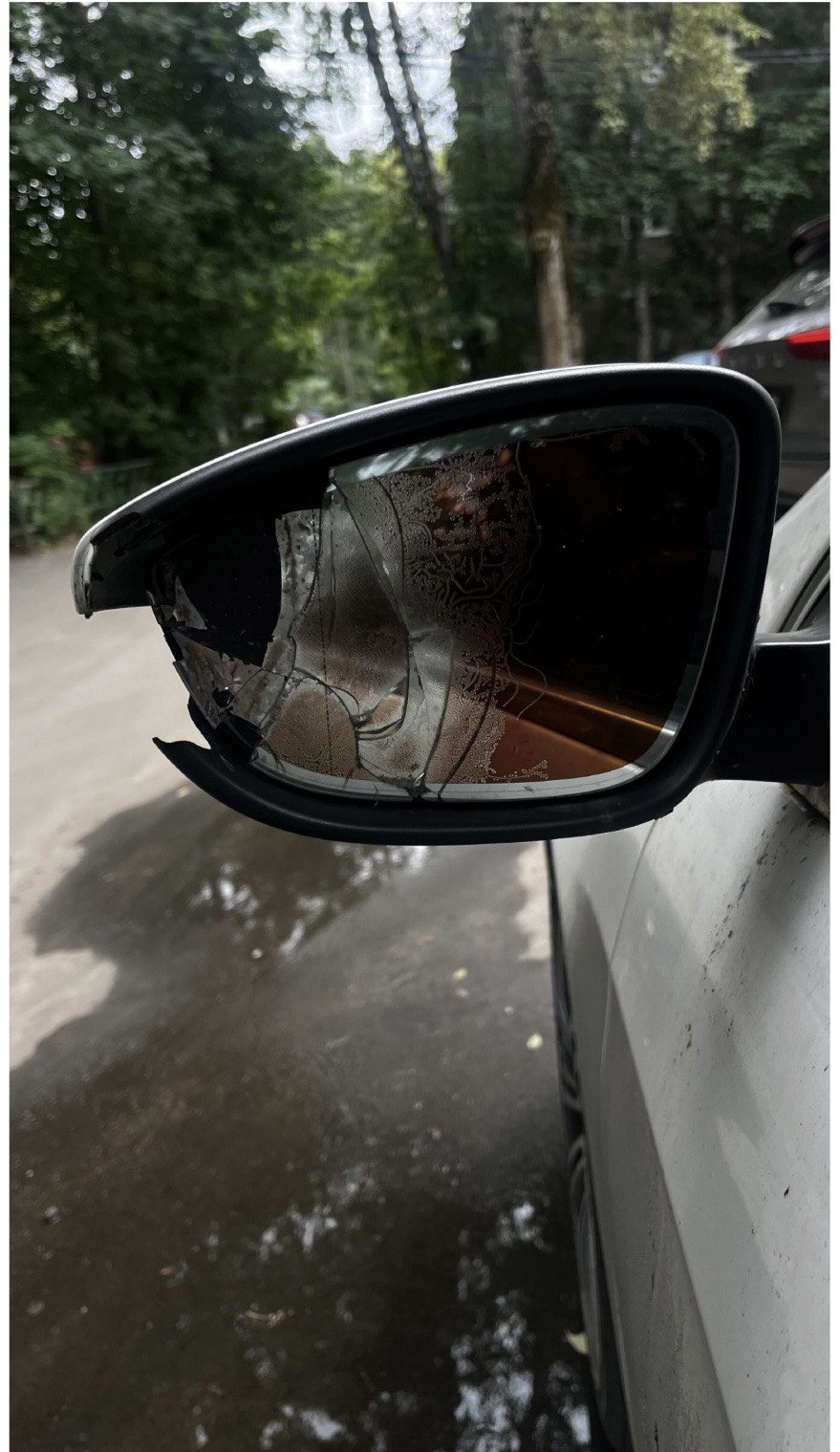Фото 4