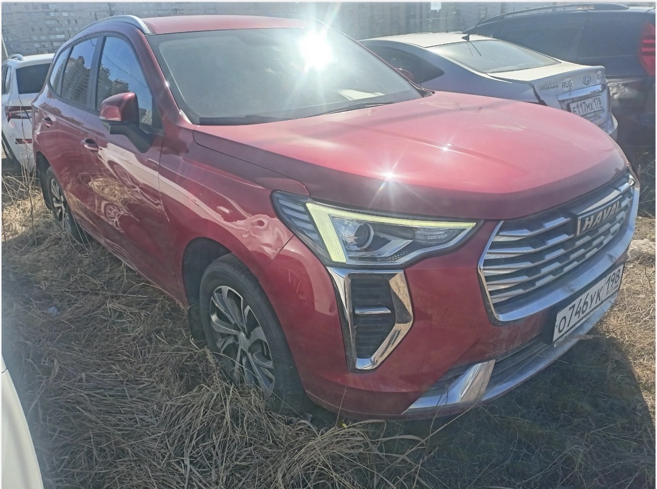 Haval JOLION 2021 год