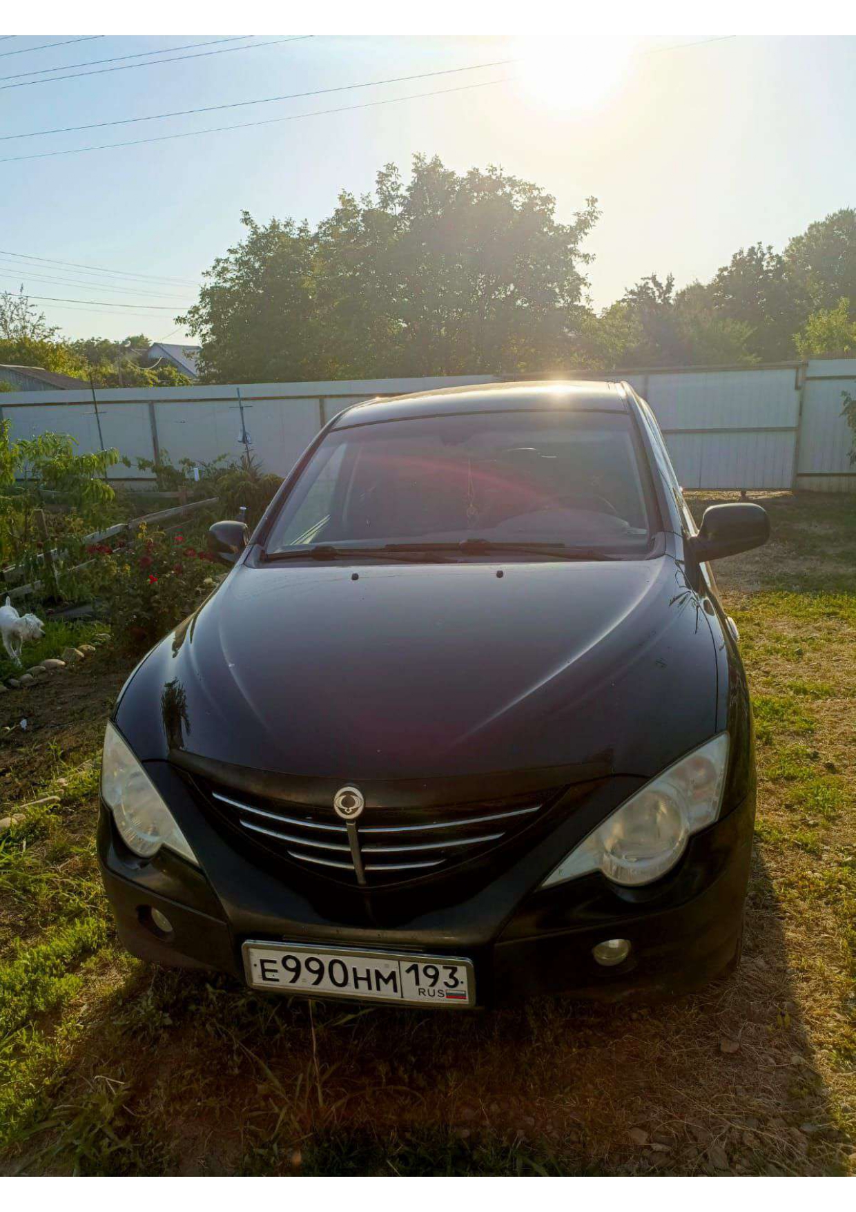 SsangYong ACTYON 2007 год