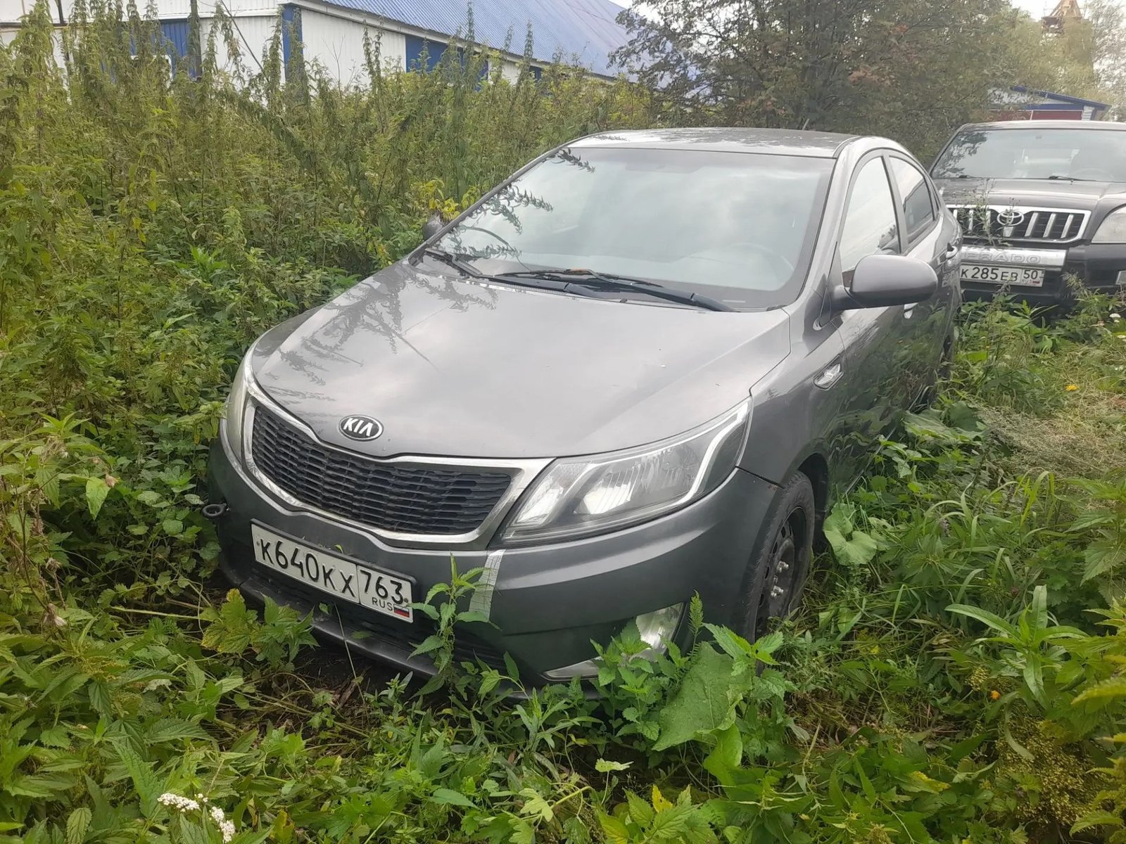 Kia Rio 2014 год