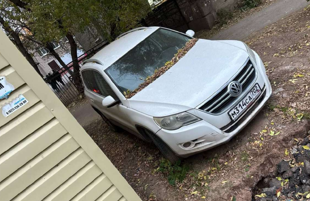 Volkswagen TIGUAN 2008 год