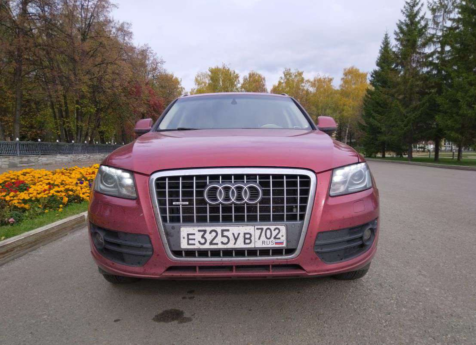 Audi Q5 2010 год