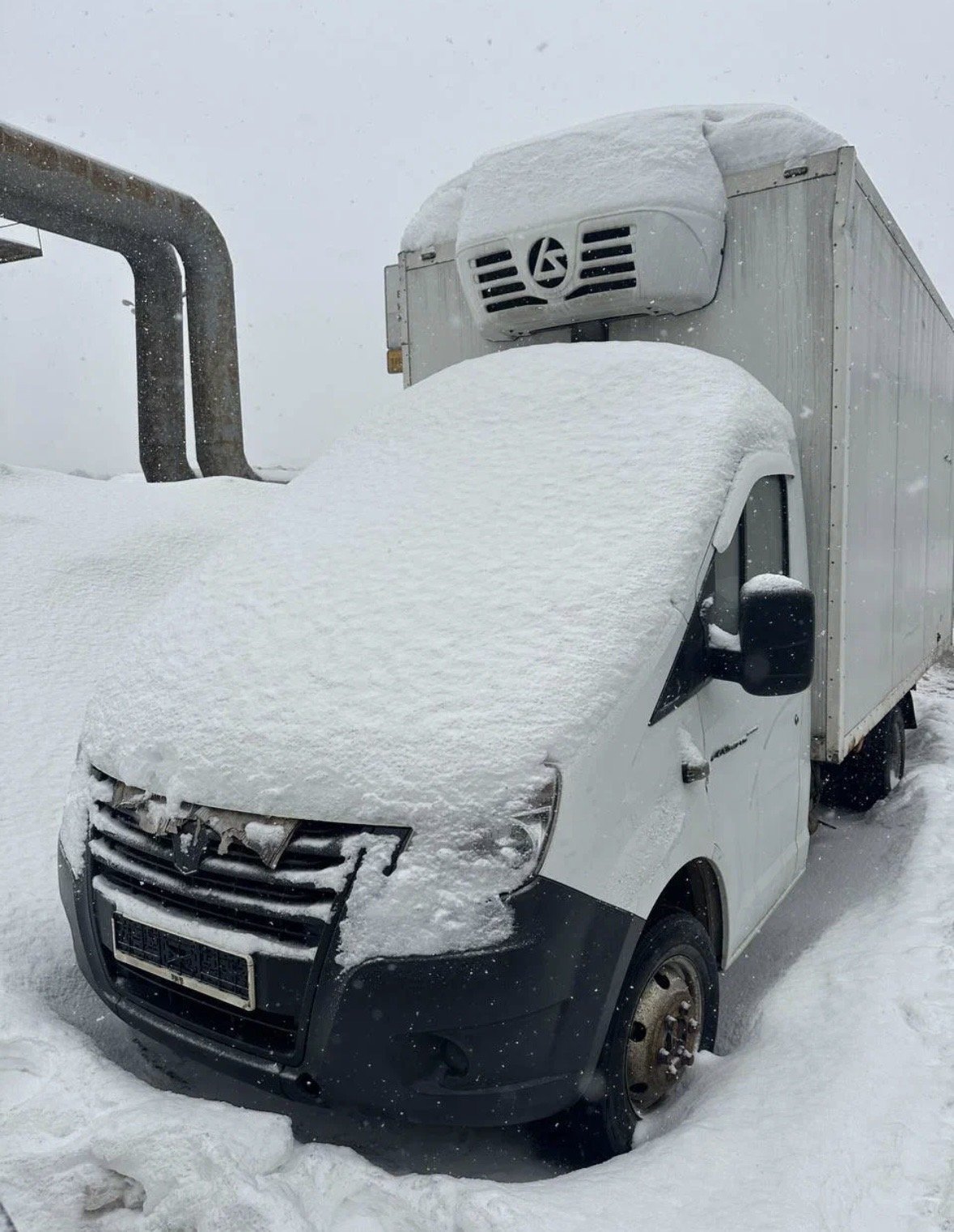 ГАЗ 3009Z6 2018 год