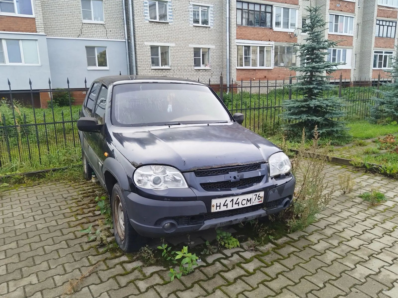 Chevrolet Niva 2010 год