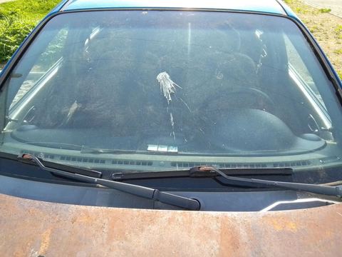 Фото 8