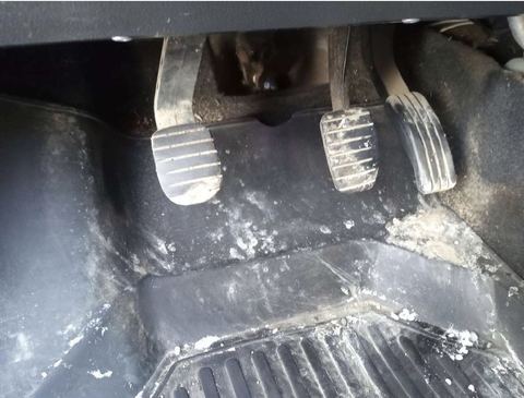 Фото 11
