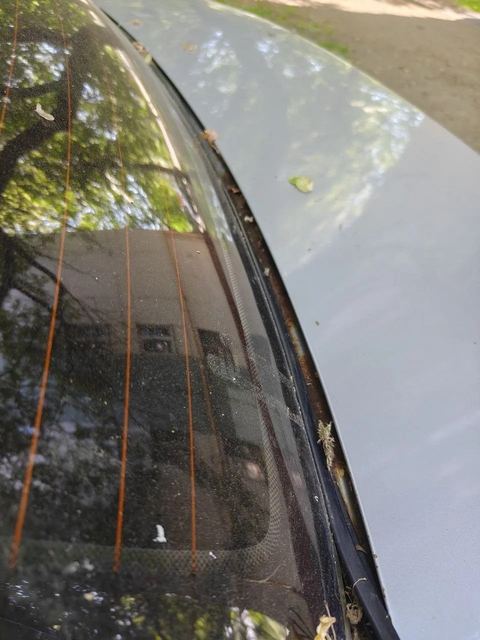Фото 7