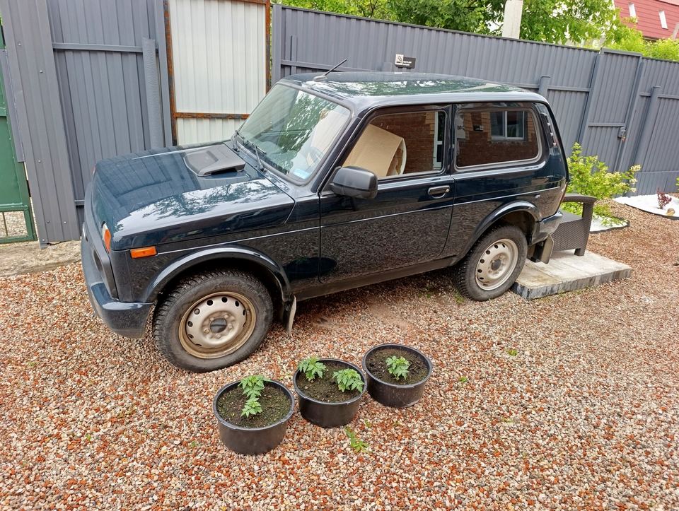 Lada 4Х4 2023 год