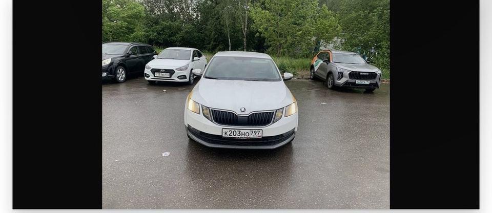 Skoda Octavia 2019 год
