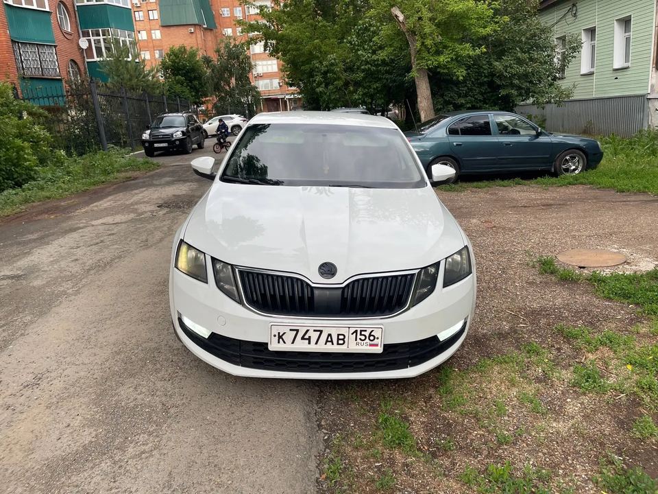 Skoda Octavia 2019 год