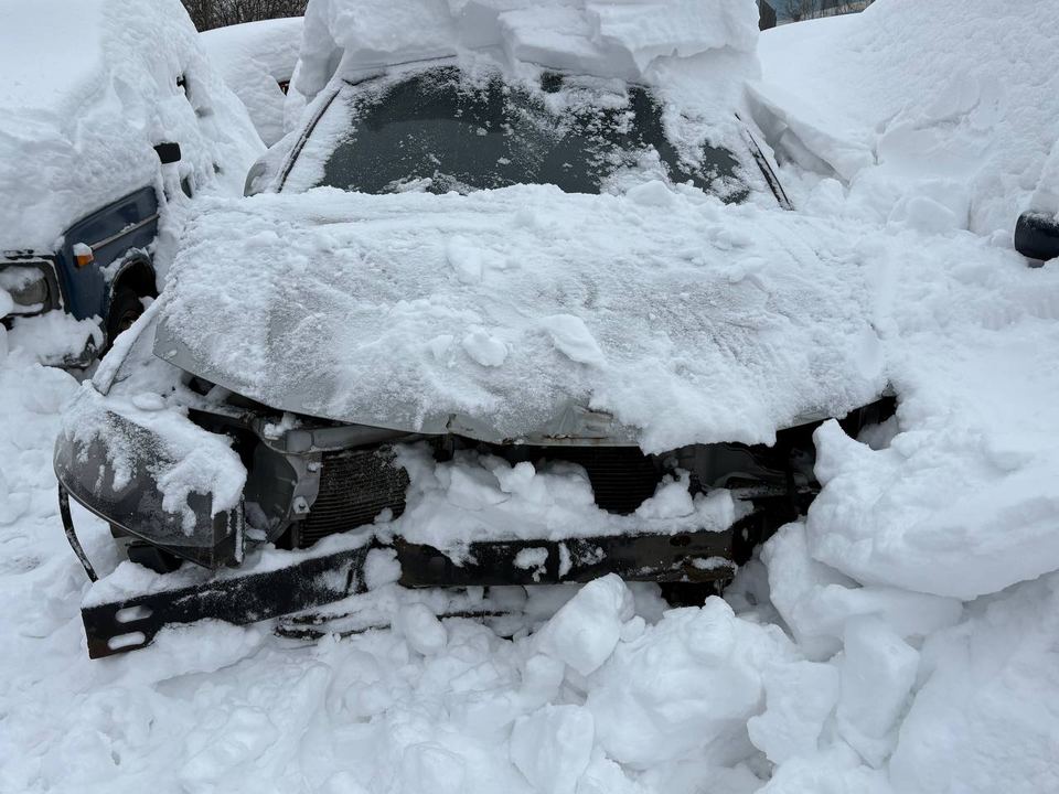 Nissan Almera 2008 год