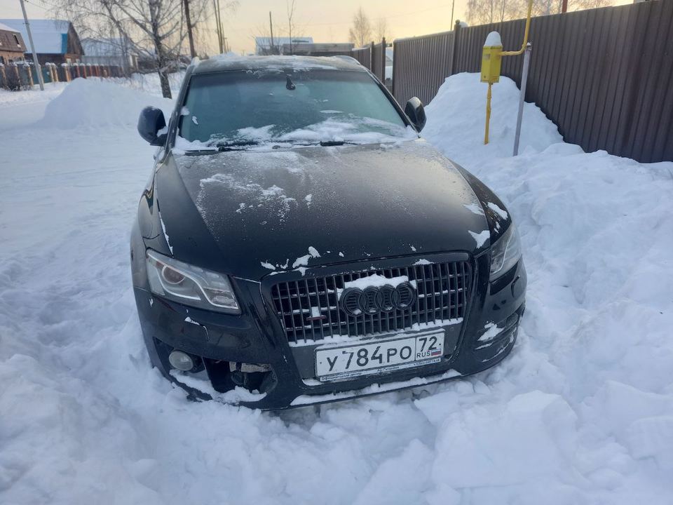Audi Q5 2010 год