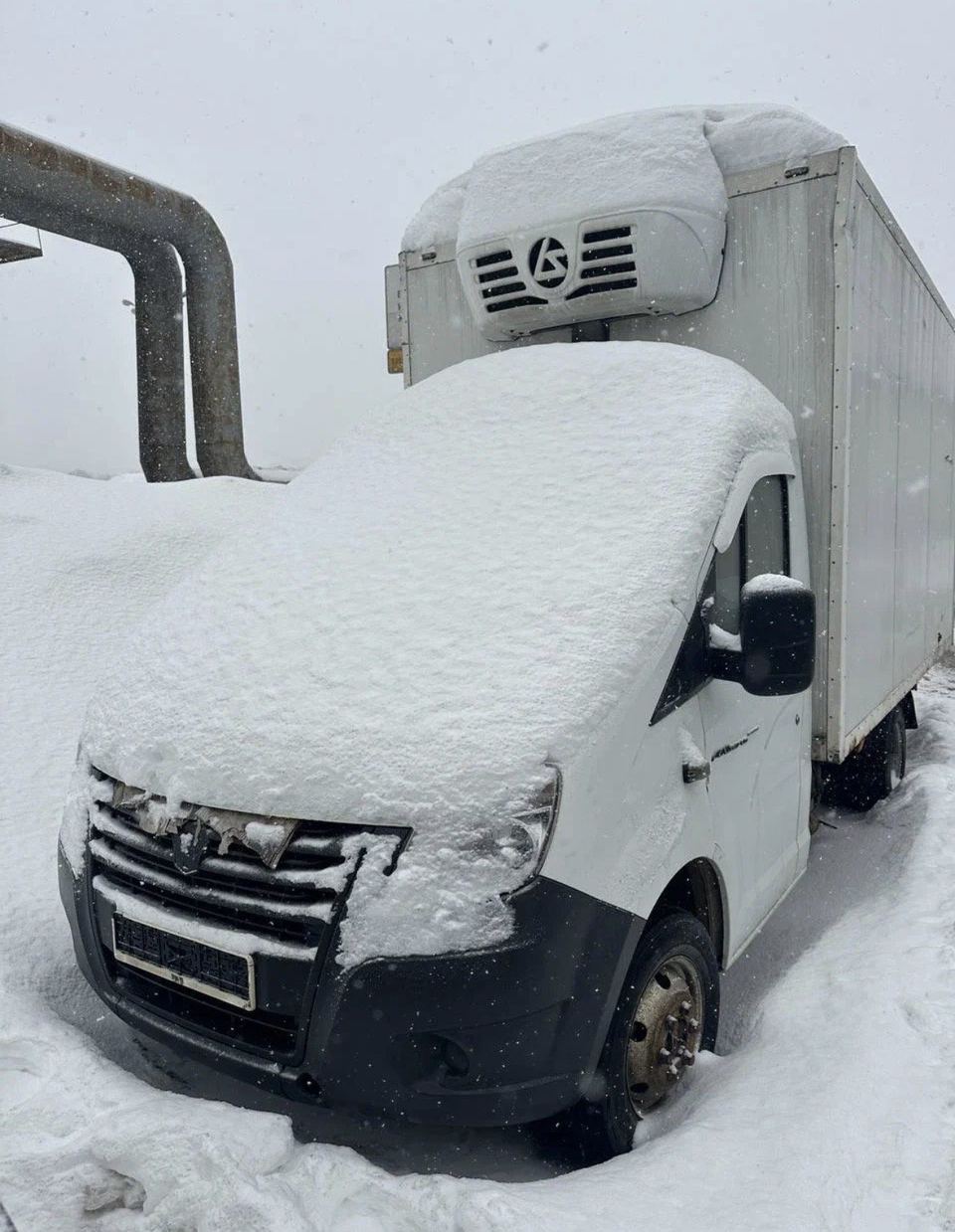 ГАЗ 3009Z6 2018 год