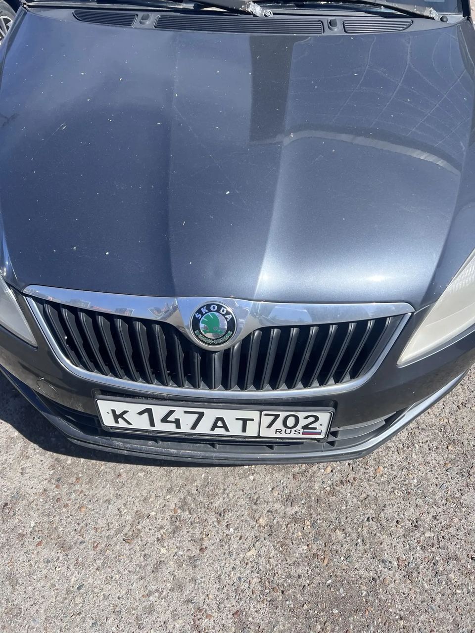 Skoda FABIA 2010 год