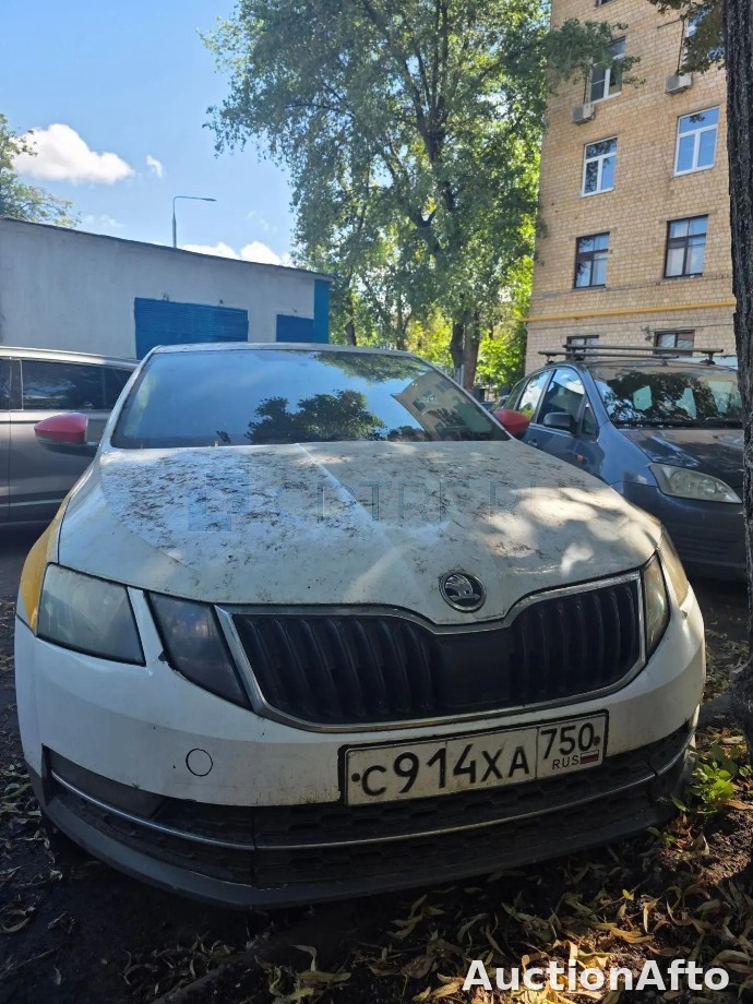 Skoda Octavia 2019 год