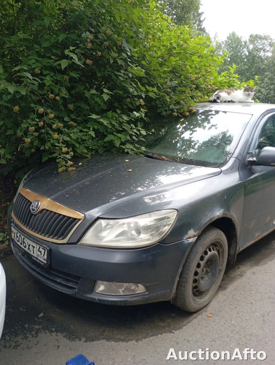 Skoda Octavia 2012 год