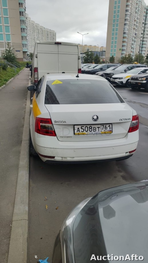 Skoda Octavia 2019 год