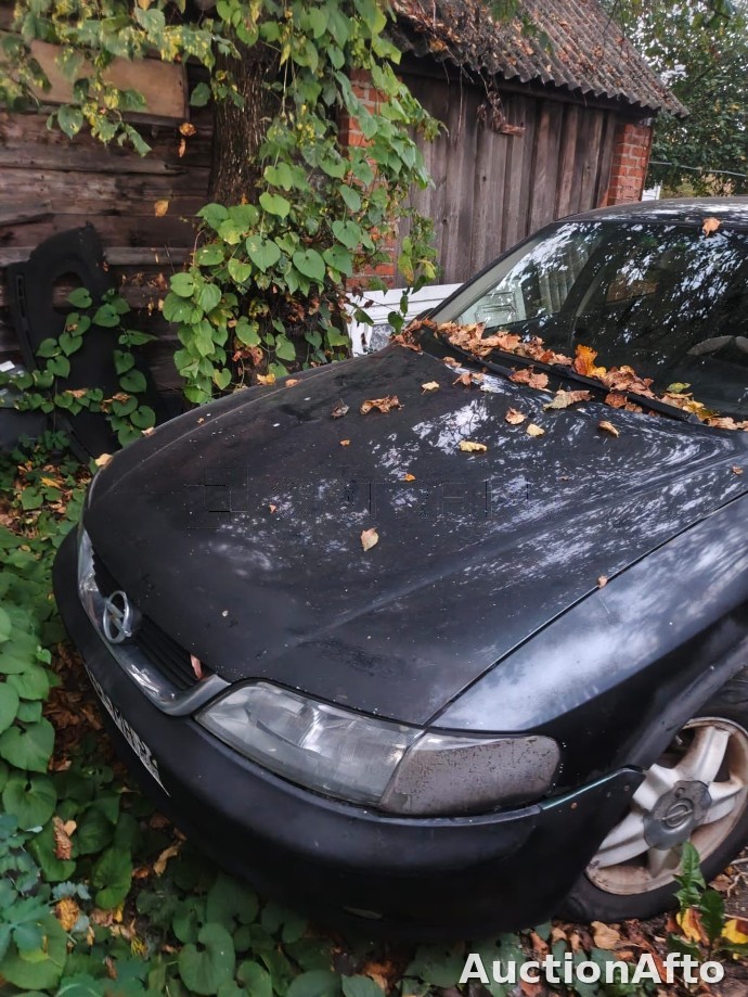Opel Vectra 1996 год