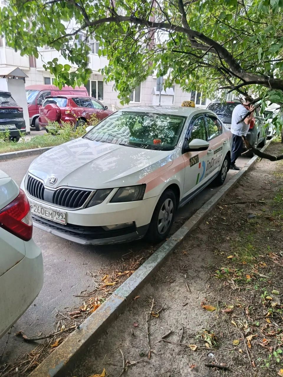 Skoda Octavia 2018 год