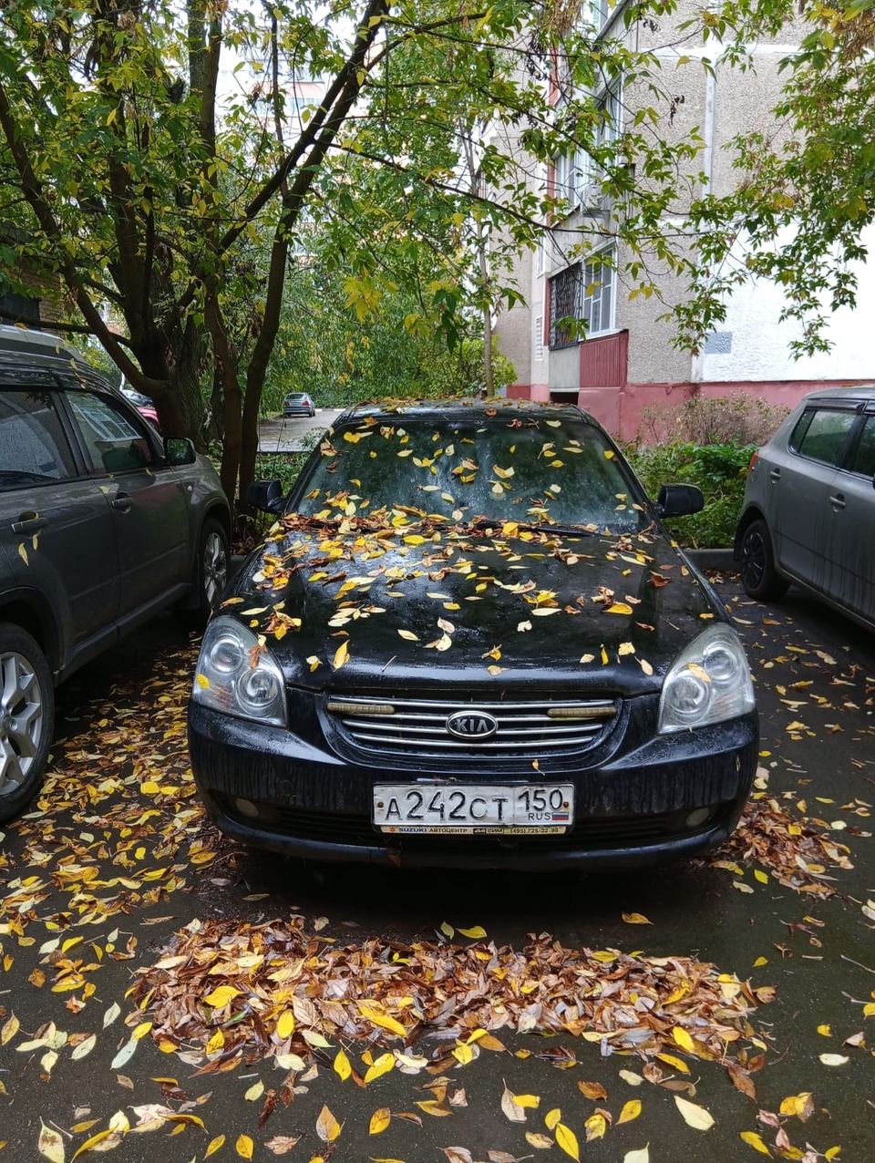 Kia Optima 2007 год