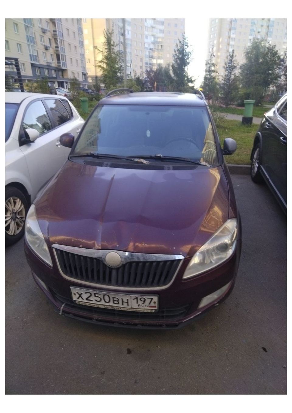 Skoda Fabia 2010 год