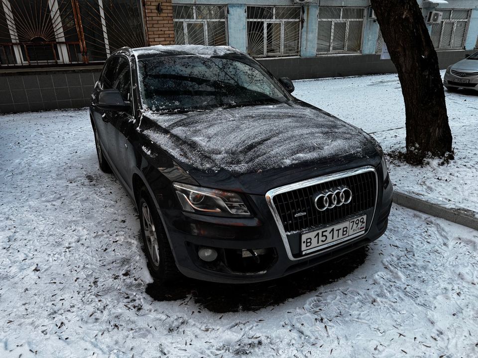 Audi Q5 2010 год