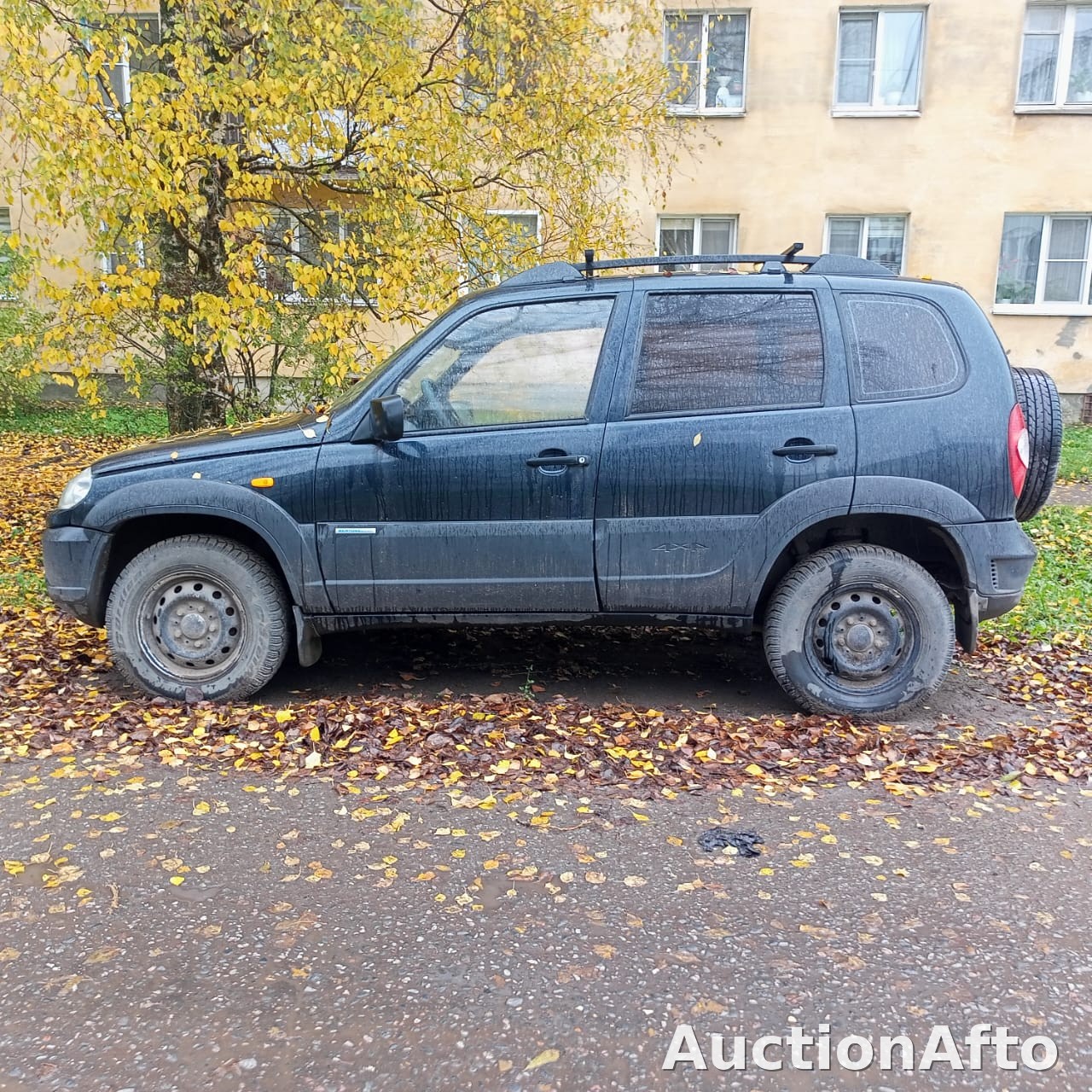 Chevrolet Niva 2009 год