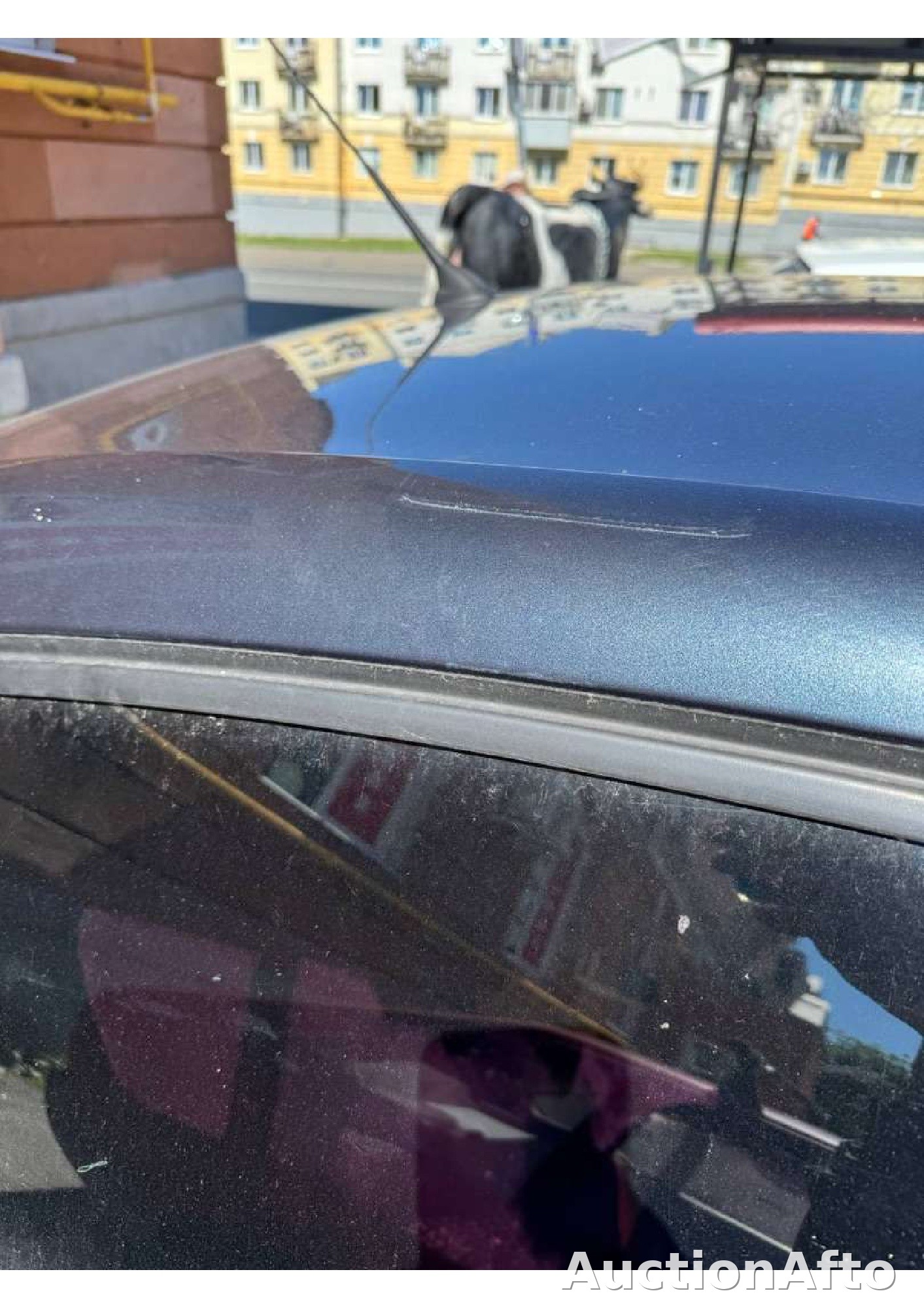 Фото 6