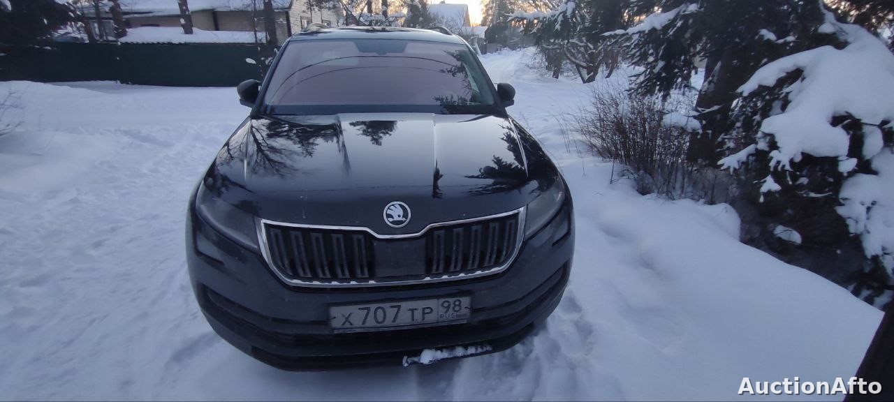 Skoda Kodiaq 2018 год