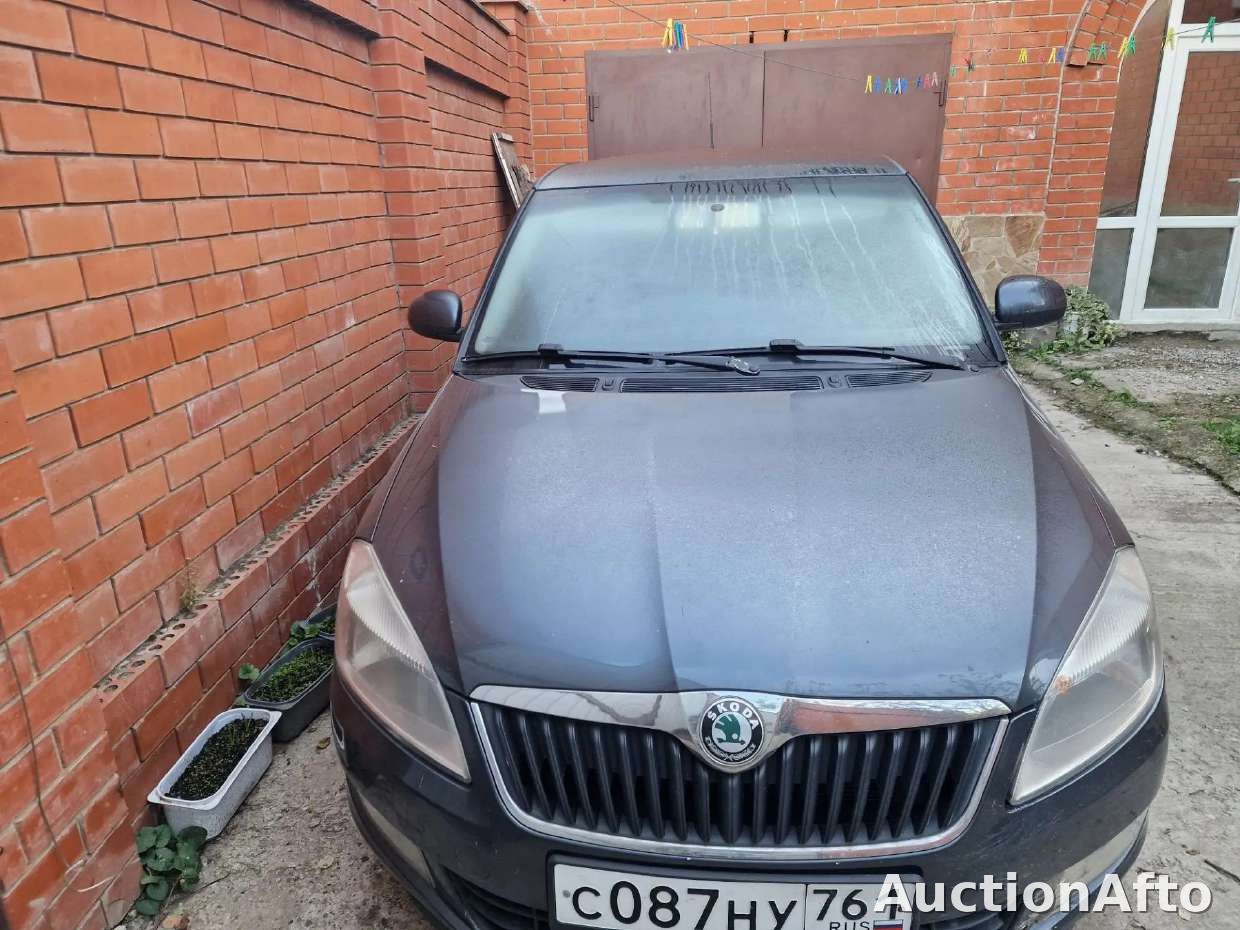 Skoda Fabia 2010 год