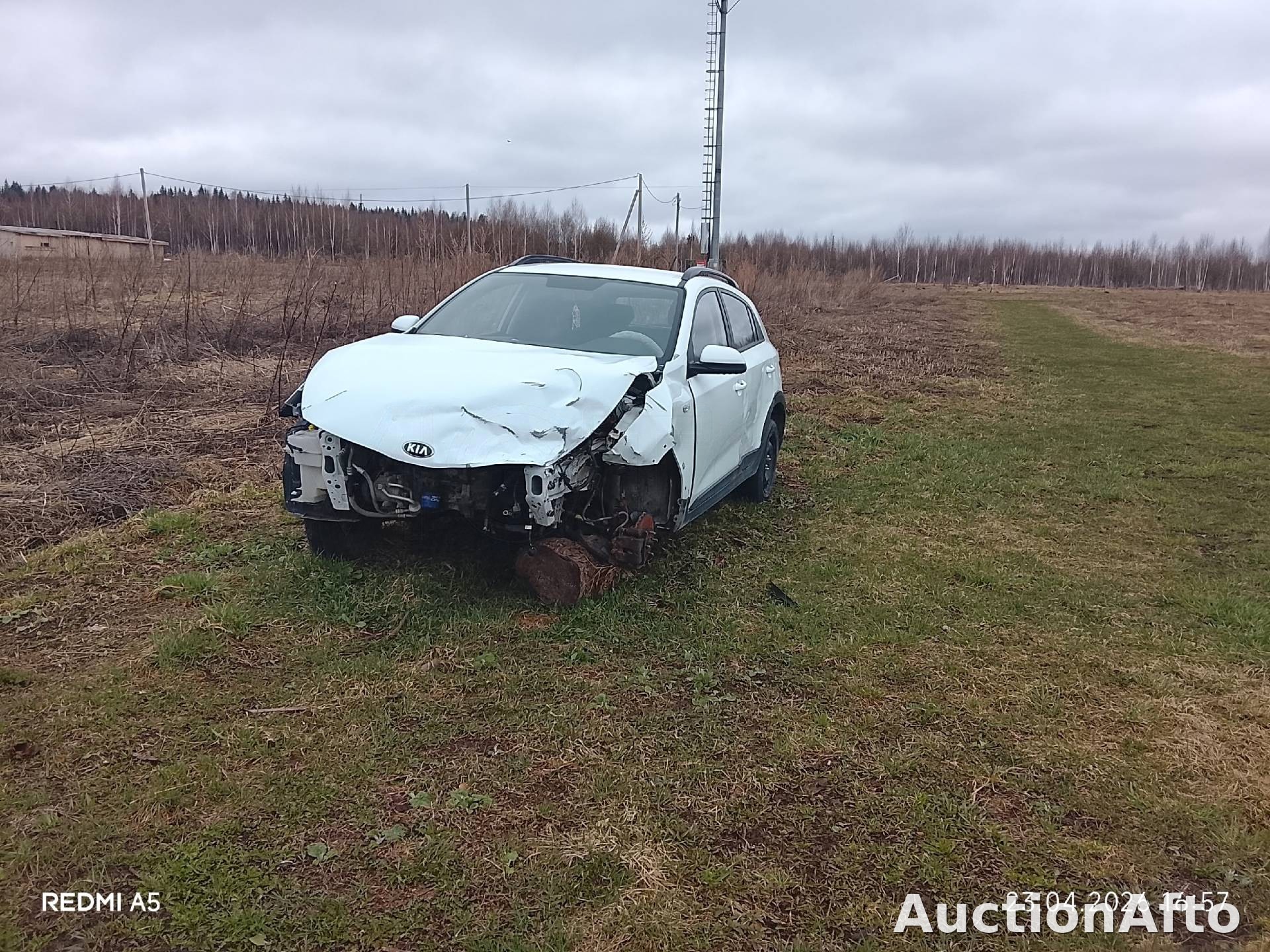 Kia Rio 2019 год