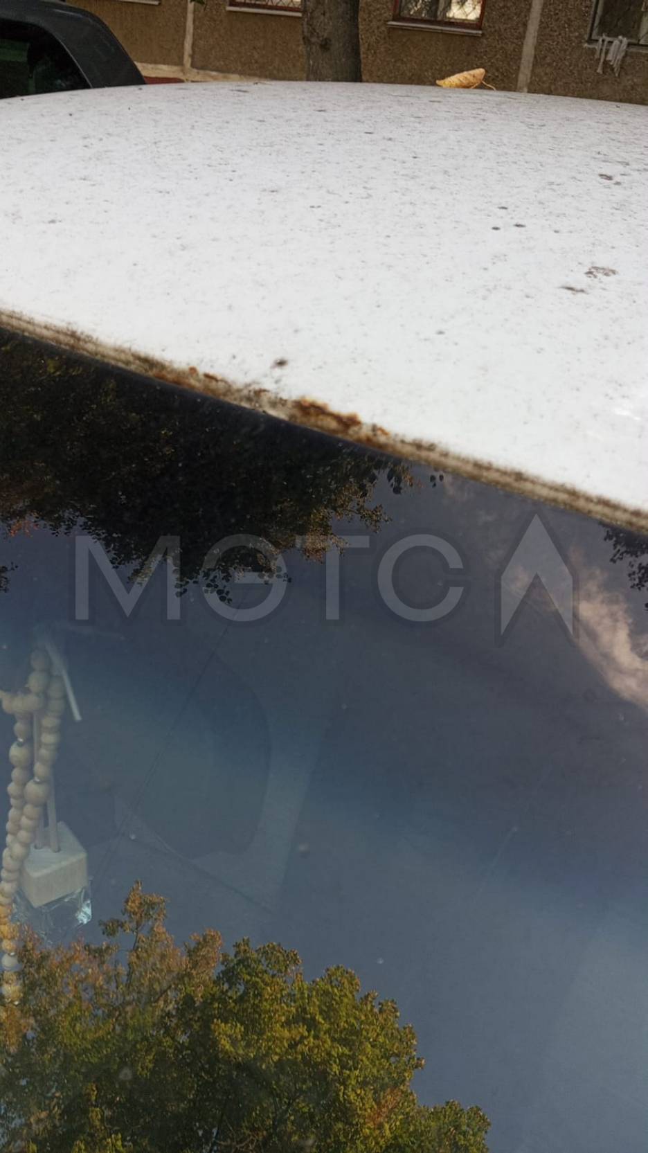 Фото 24