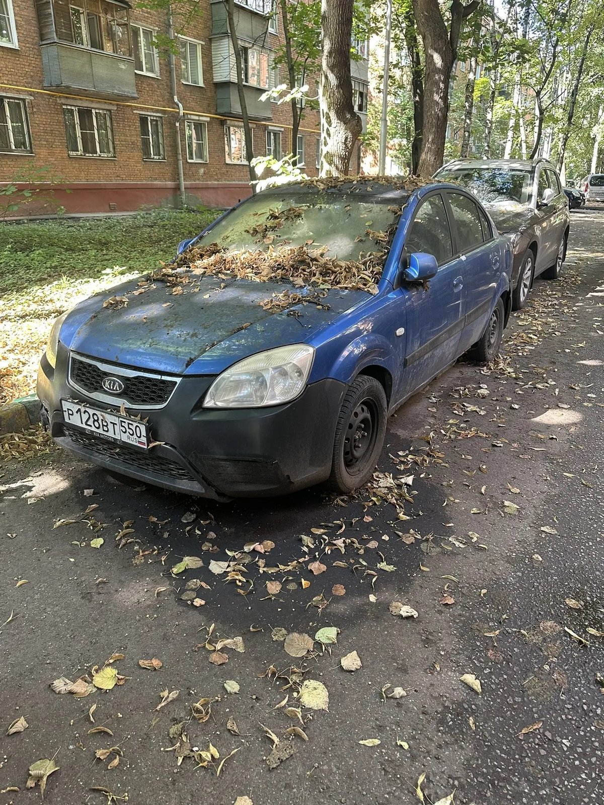 Kia Rio 2009 год
