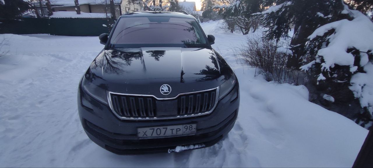 Skoda Kodiaq 2018 год