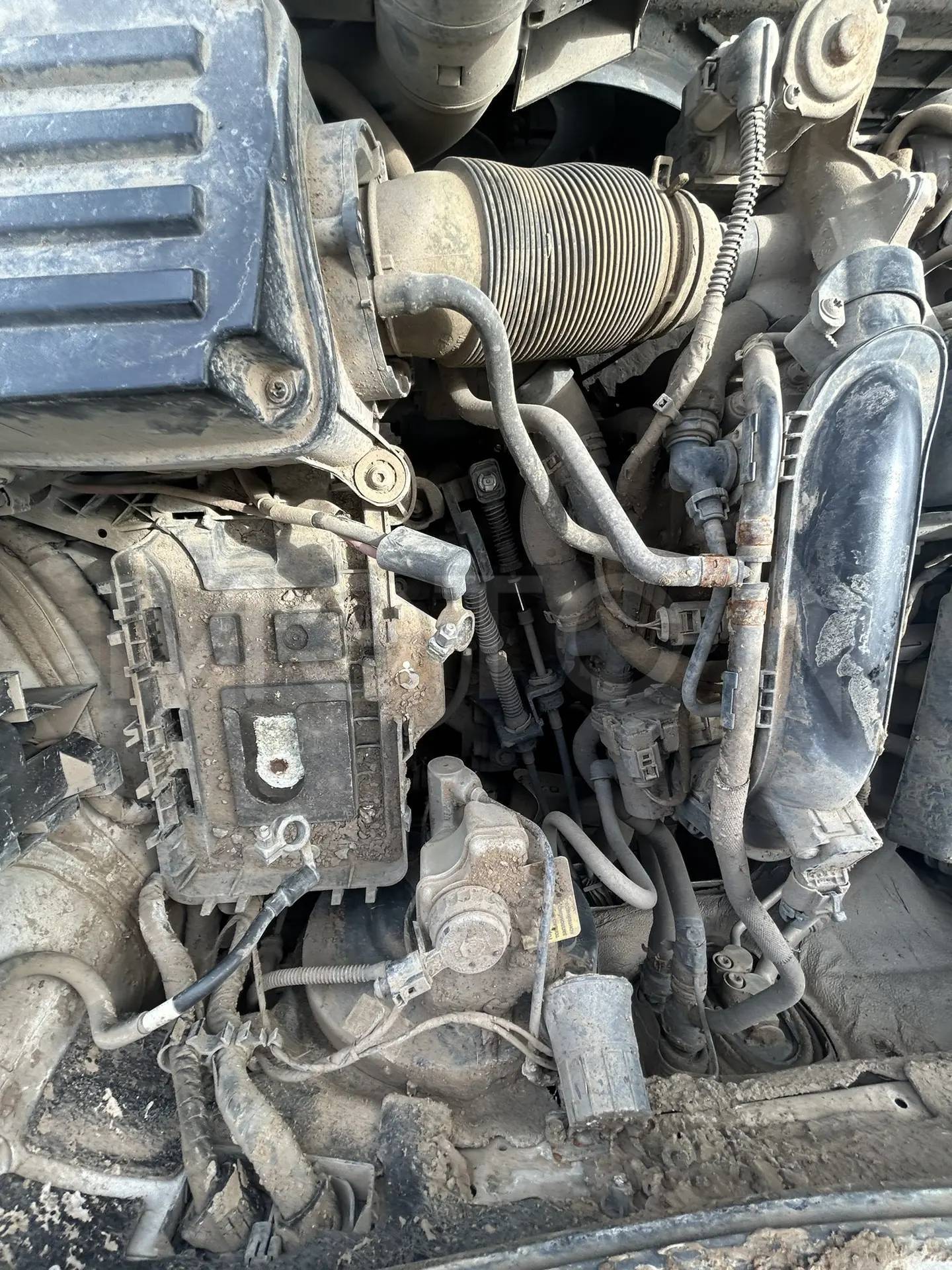 Фото 9