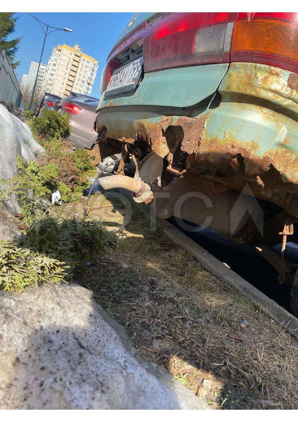 Фото 10