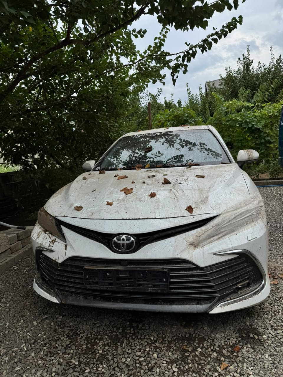 Toyota Camry 2020 год