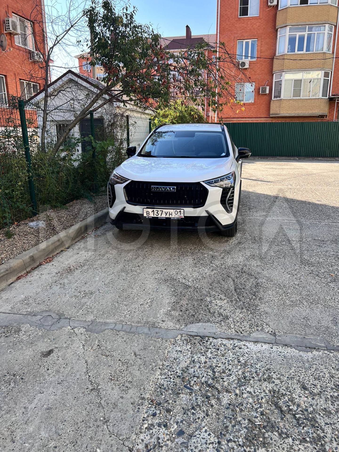 Haval Jolion 2024 год