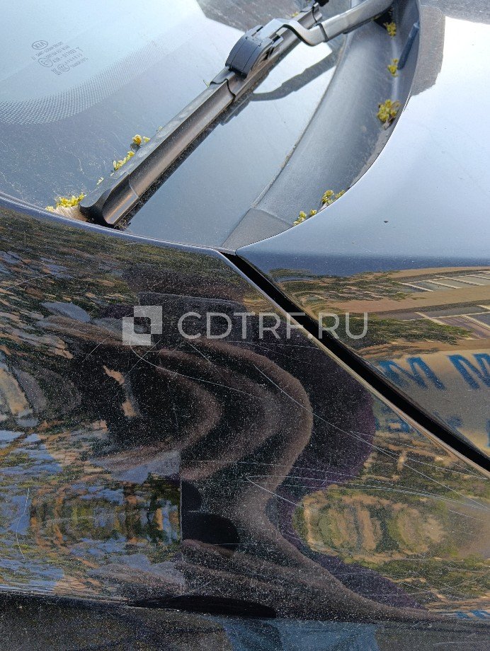 Фото 3