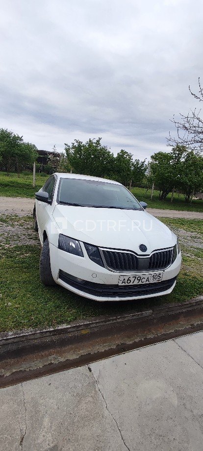 Skoda Octavia 2019 год