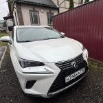 Фото 4
