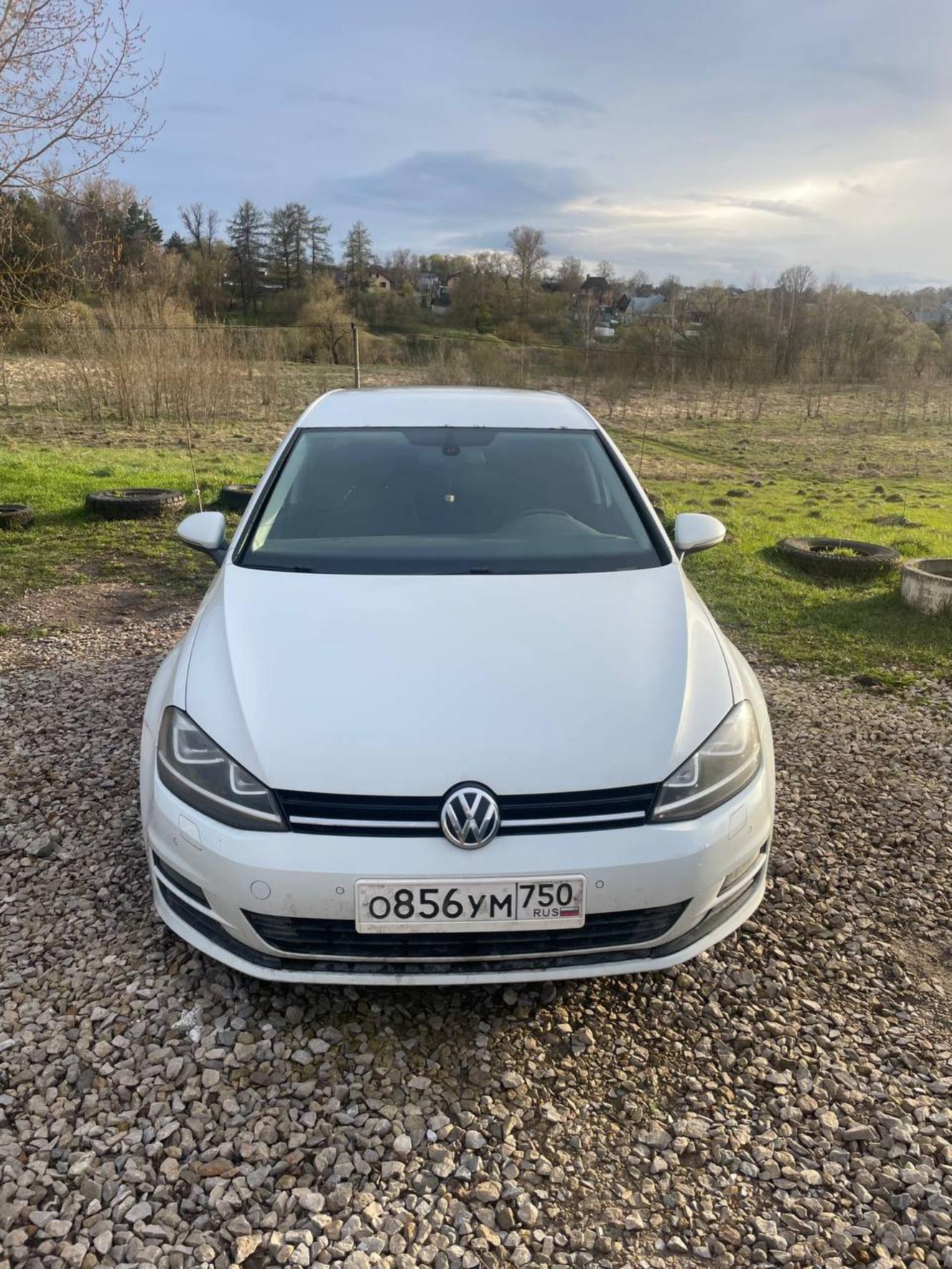 Volkswagen Golf 2013 год