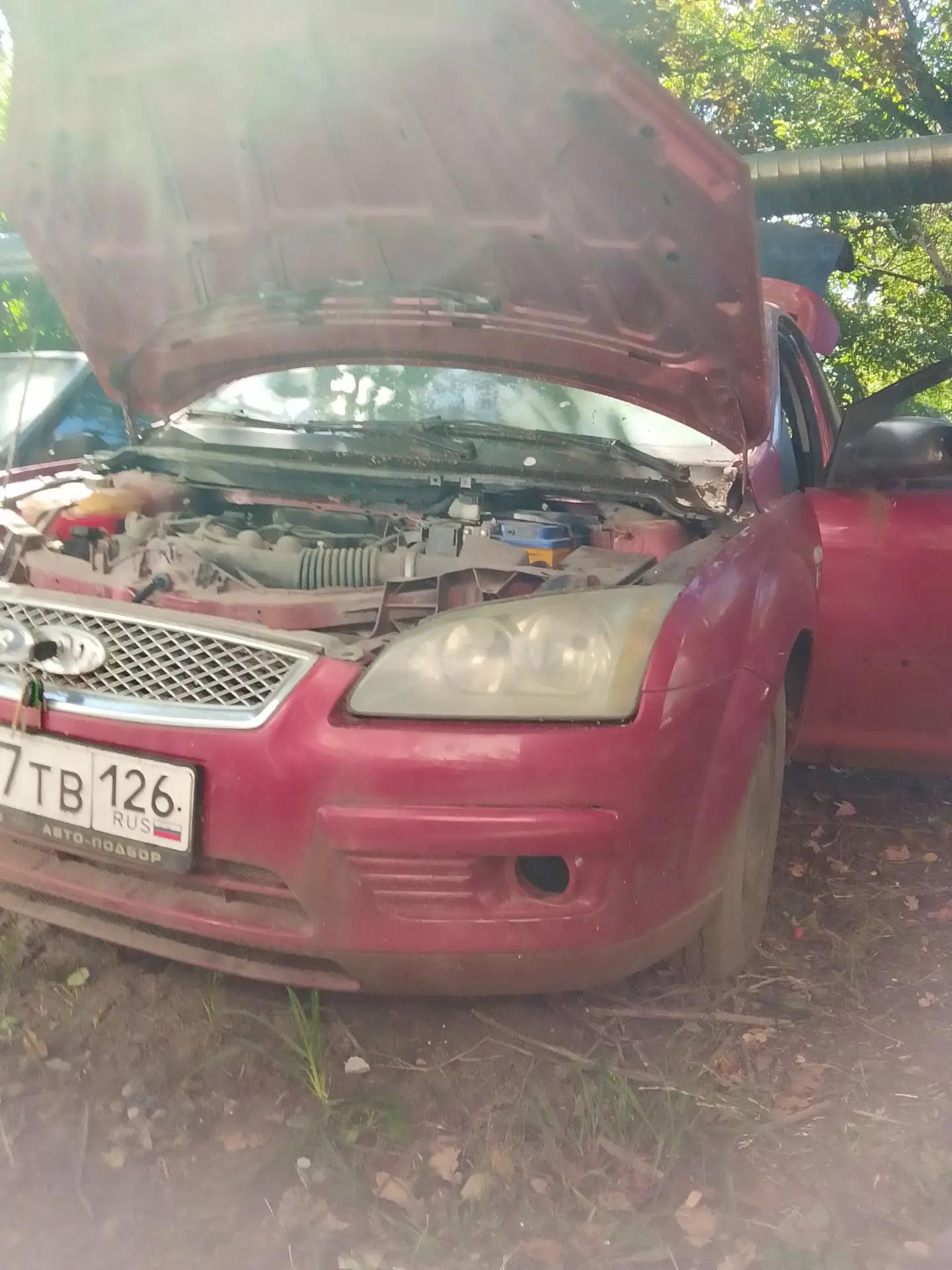 Ford FOCUS 2005 год