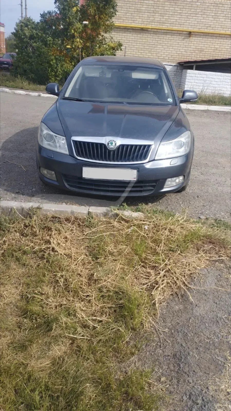 Skoda Octavia 2011 год