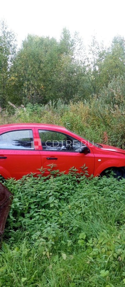 Фото 10